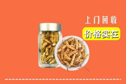 收购资讯:五华县回收散虫草