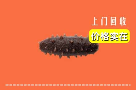 收购资讯:五华县回收海参