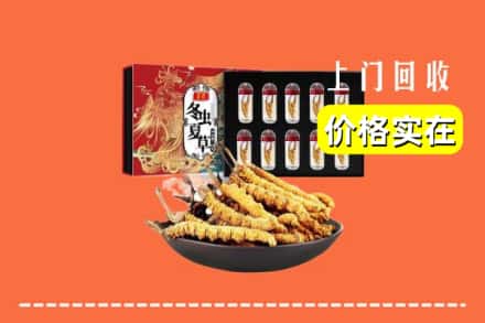 五华县回收虫草